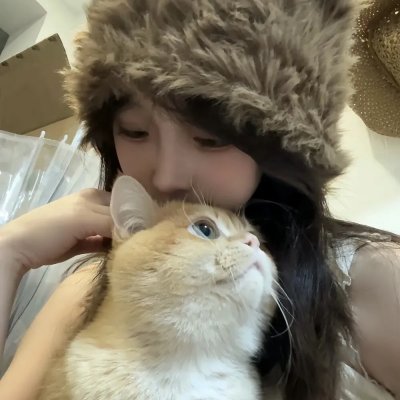 神都狐探